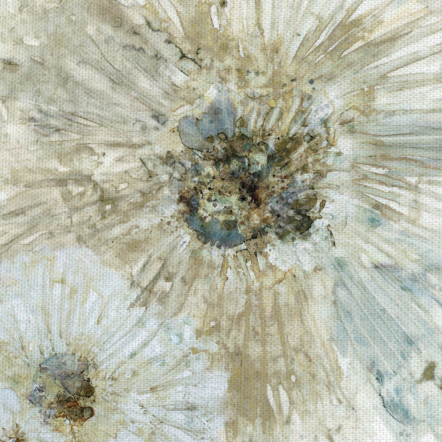 Primavera de Marfil - Carol Robinson
