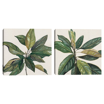 Hojas de magnolia I - Carol Robinson