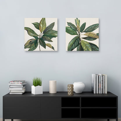 Hojas de magnolia I - Carol Robinson