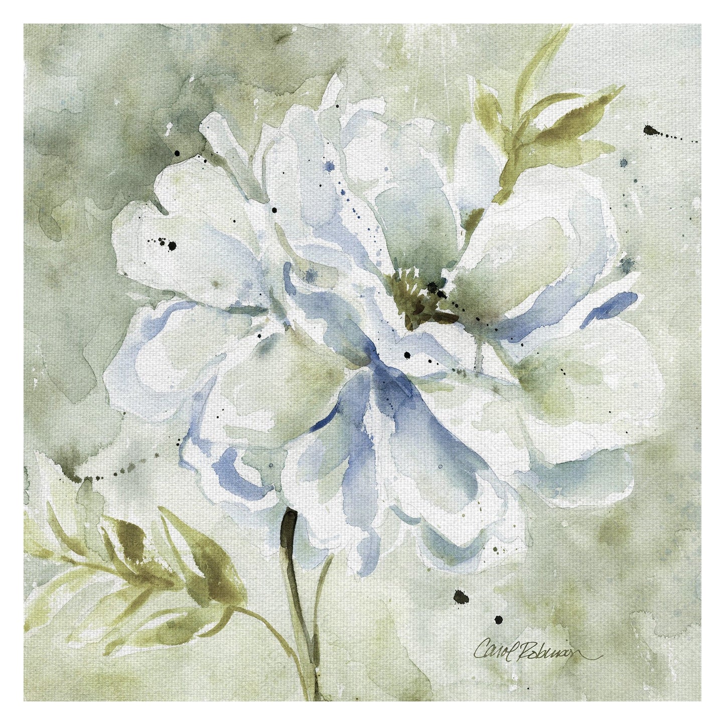 Una Dahlia Gris - Carol Robinson