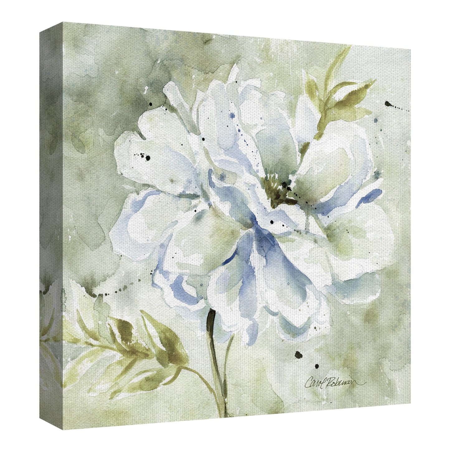 Una Dahlia Gris - Carol Robinson