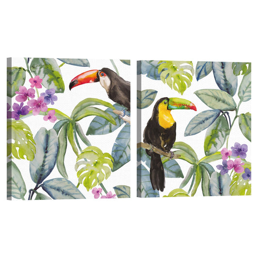 Tucan Buscar - Sandra Jacobs