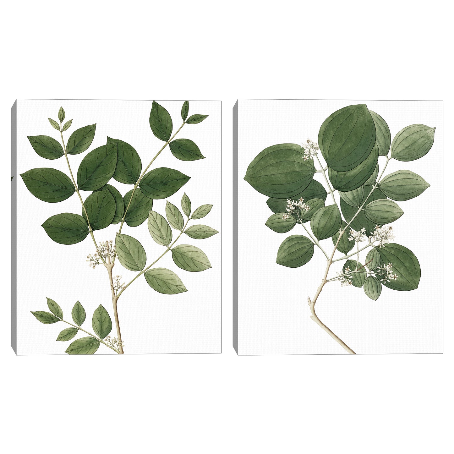 Naturaleza simple I - Design Lab