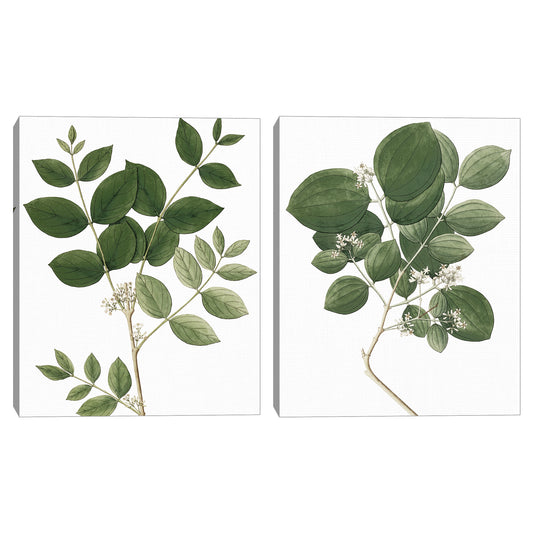 Naturaleza simple I - Design Lab