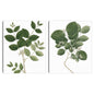 Naturaleza simple I - Design Lab