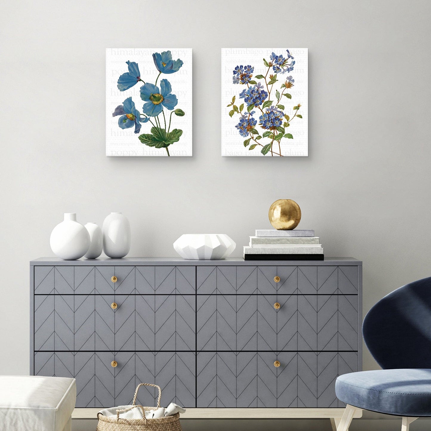 Texto de amapola azul del Himalaya - Design Lab