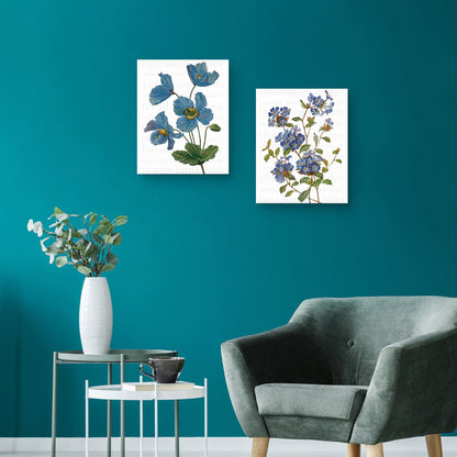 Texto de amapola azul del Himalaya - Design Lab