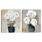 Panache de petalos III - Studio Arts