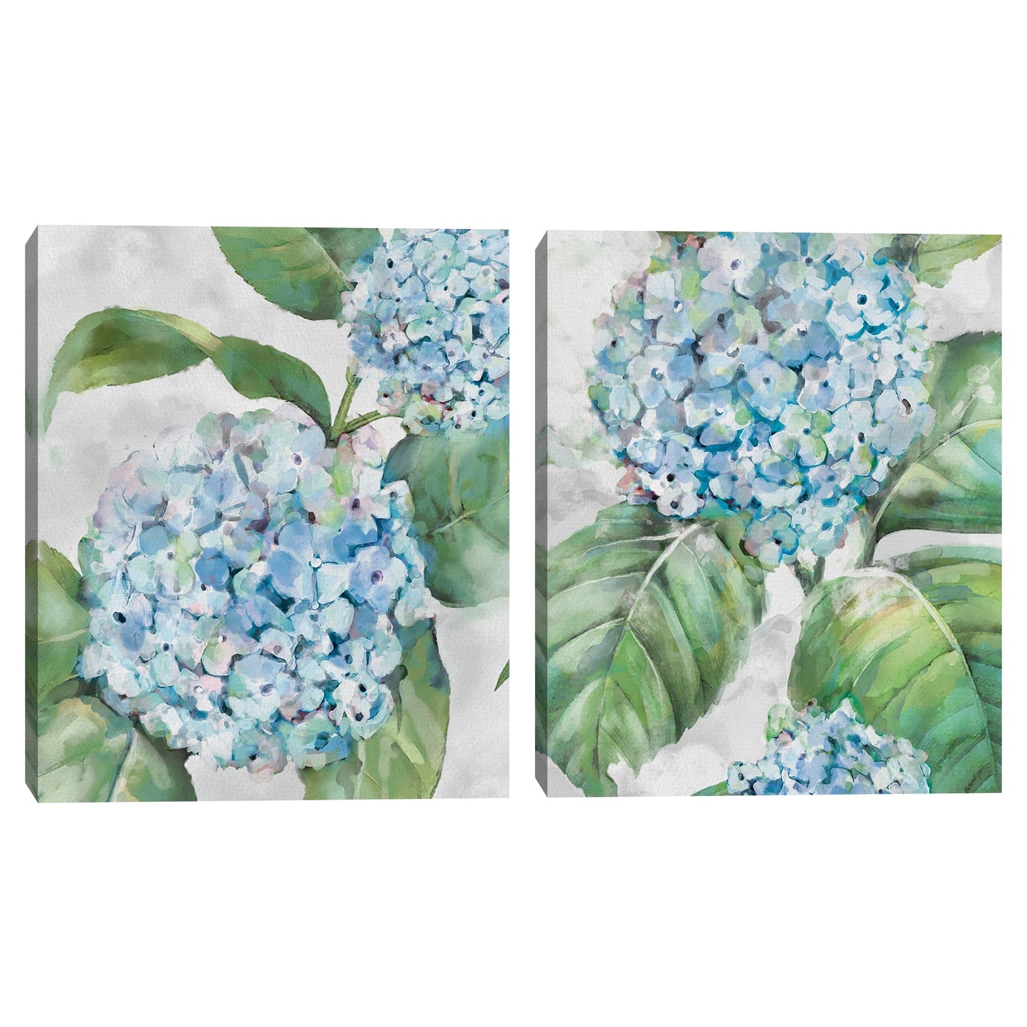 Retratos de hortensias I - Studio Arts