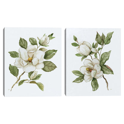 Magnolia mañana I - Nan