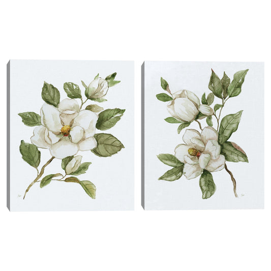 Magnolia mañana I - Nan