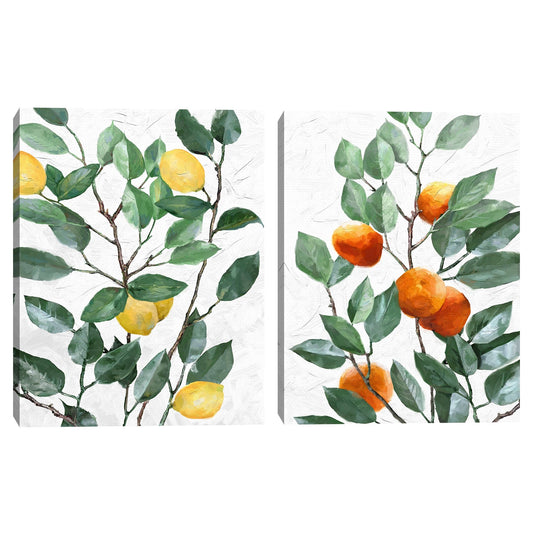 Limonero - Studio Arts