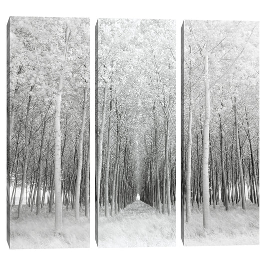 Perspectiva - Chip Forelli
