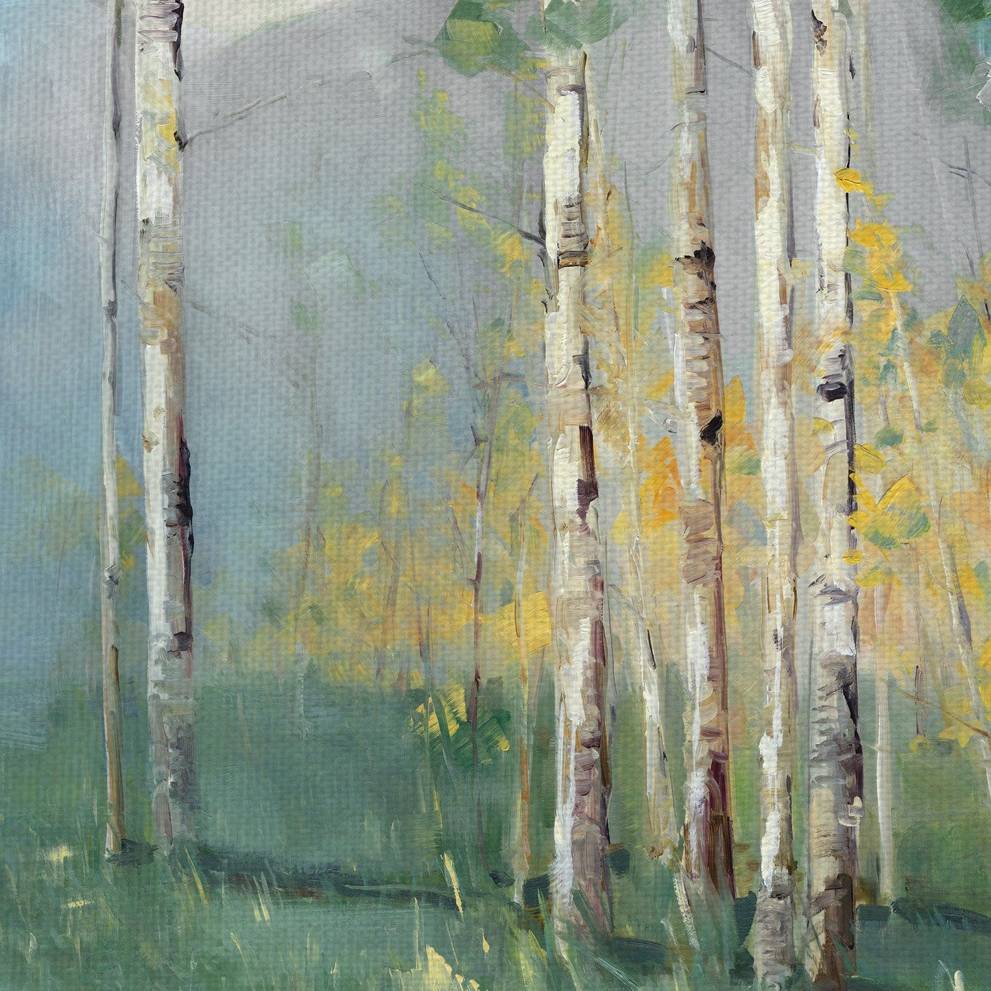 Reflexiones de abedul - Sally Swatland