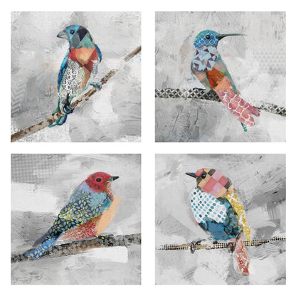 Patrones de vuelo - Studio Arts