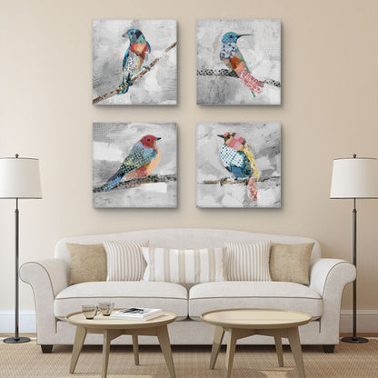 Patrones de vuelo - Studio Arts