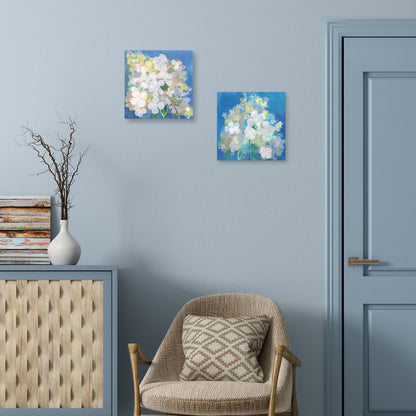 Hortensia aqua tissue - Maret Hensick