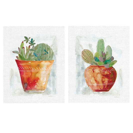 Terracota Cactus - Carol Robinson