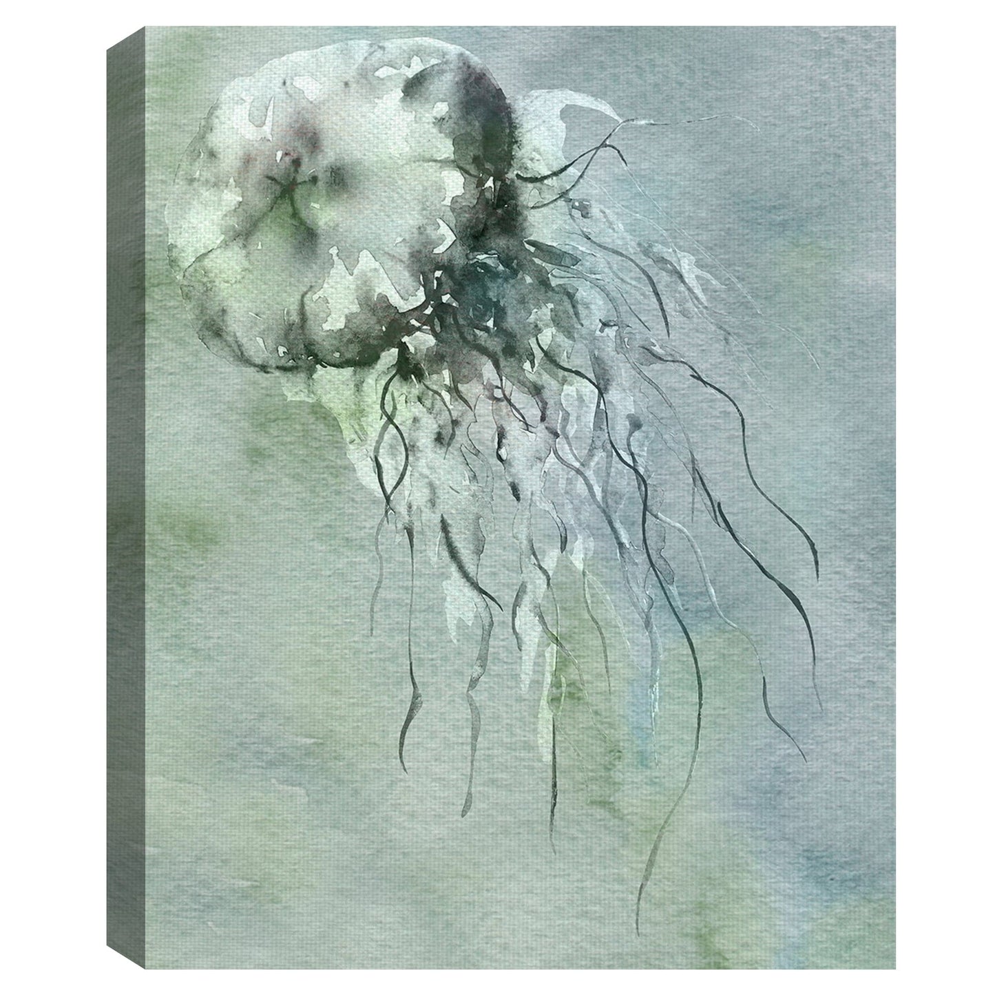 Medusa azul gris I - Brandi Fitzgerald