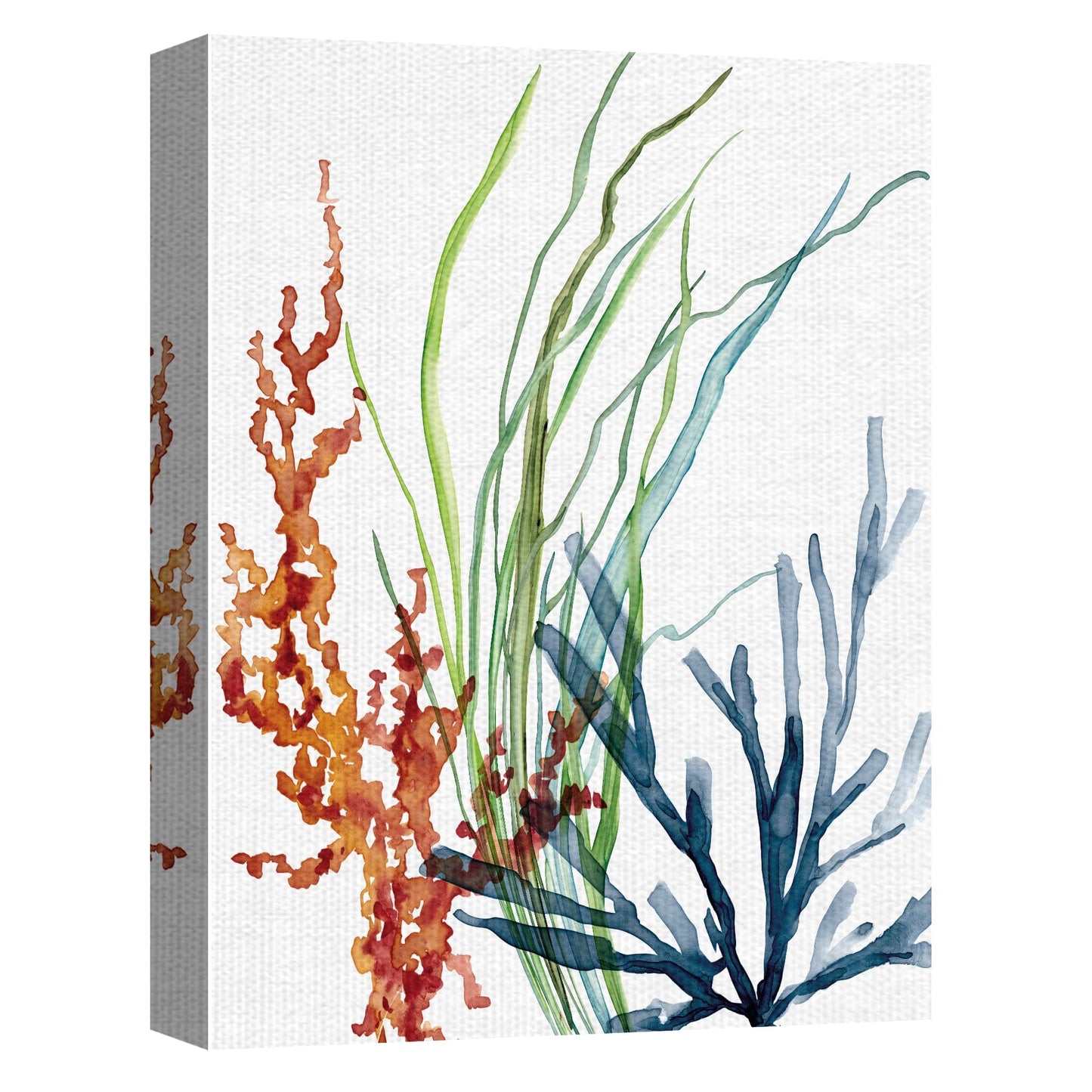 Magia oceanica I - Carol Robinson