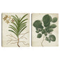 Textura simple natural - Design Lab