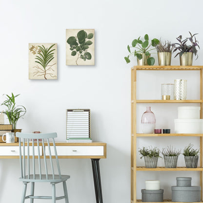 Textura simple natural - Design Lab