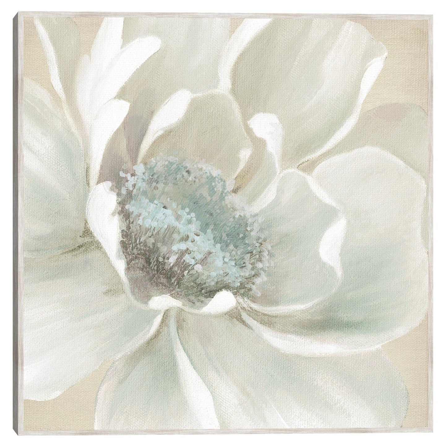 Flores de Invierno I - Carol Robinson