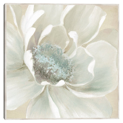 Flores de Invierno I - Carol Robinson