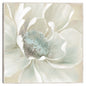 Flores de Invierno I - Carol Robinson