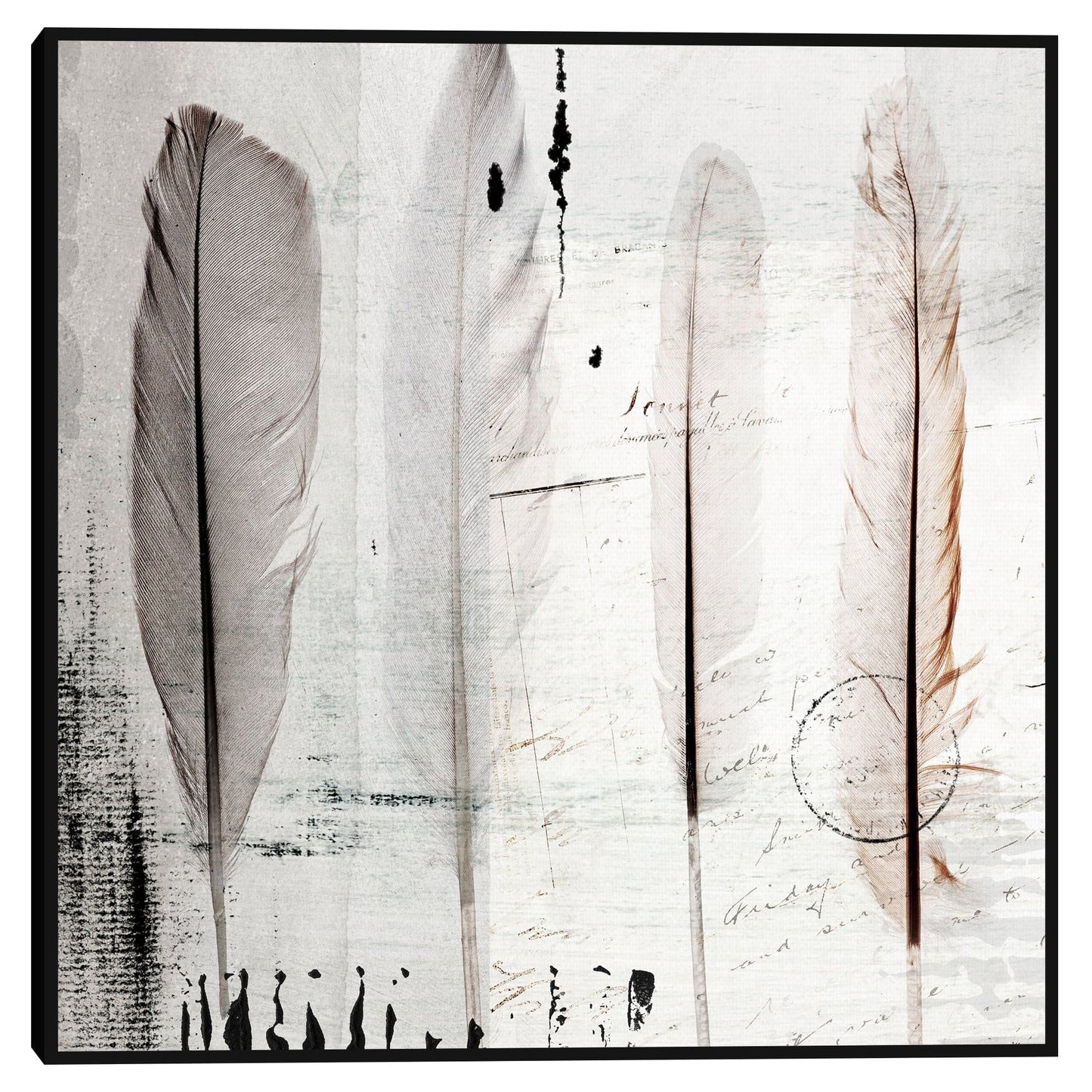 Cuatro plumas I - Belle Maison