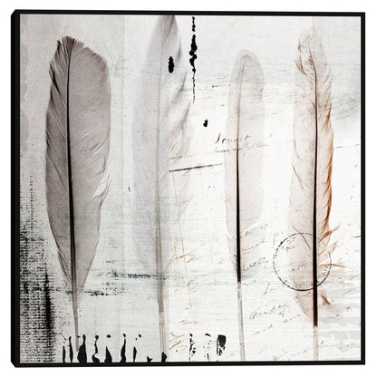 Cuatro plumas I - Belle Maison