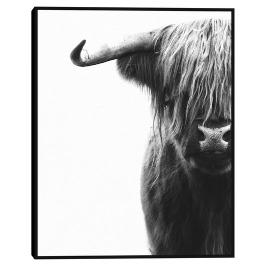 Sin toro - Belle Maison