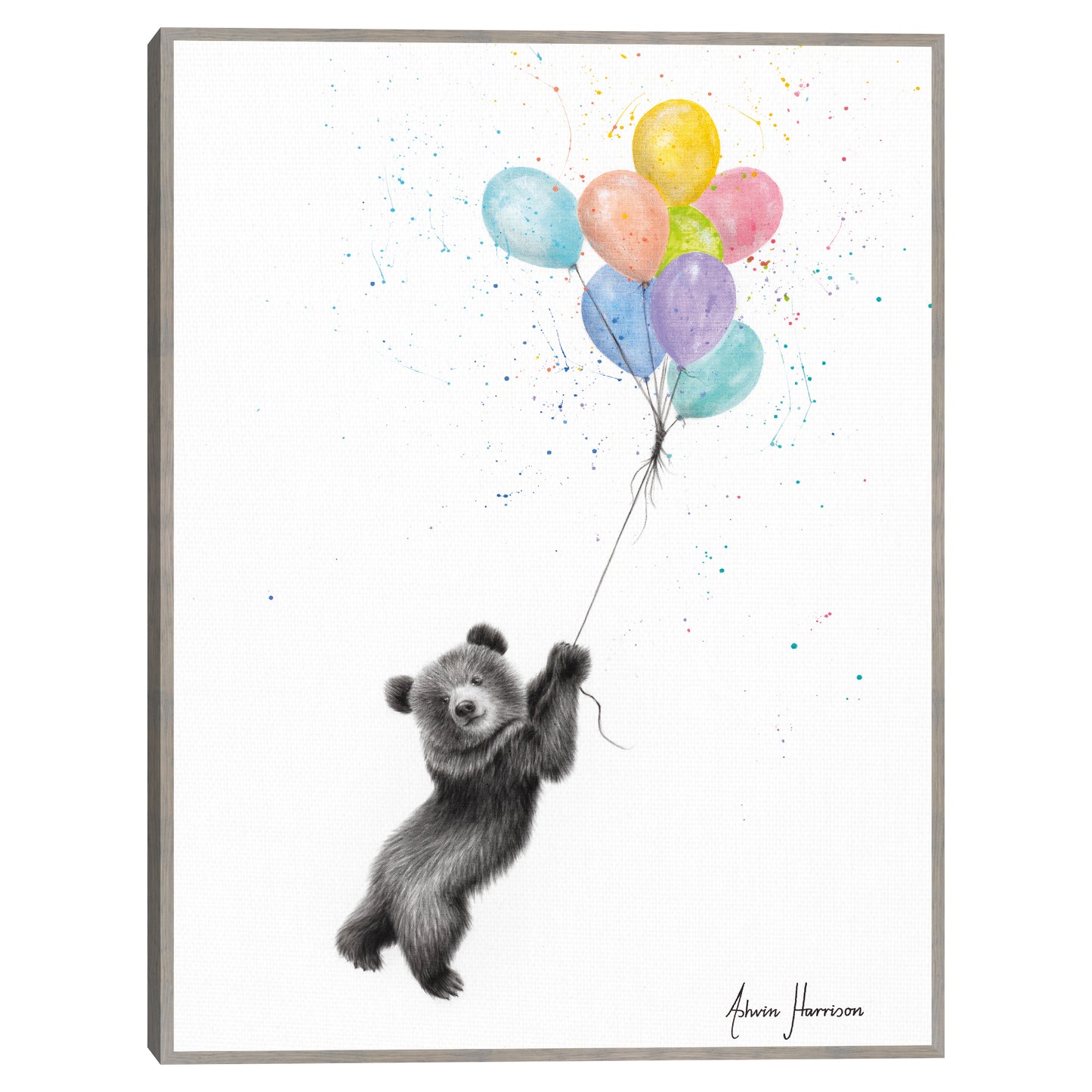 El oso y los globos - Ashvin Harrison