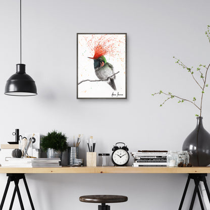 Coqueta con cresta rufa - Ashvin Harrison