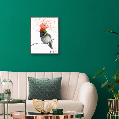 Coqueta con cresta rufa - Ashvin Harrison