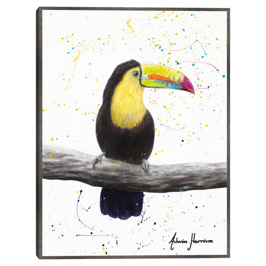 Tucan talentoso - Ashvin Harrison