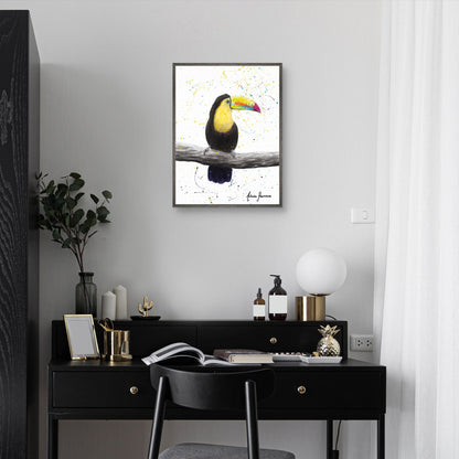 Tucan talentoso - Ashvin Harrison