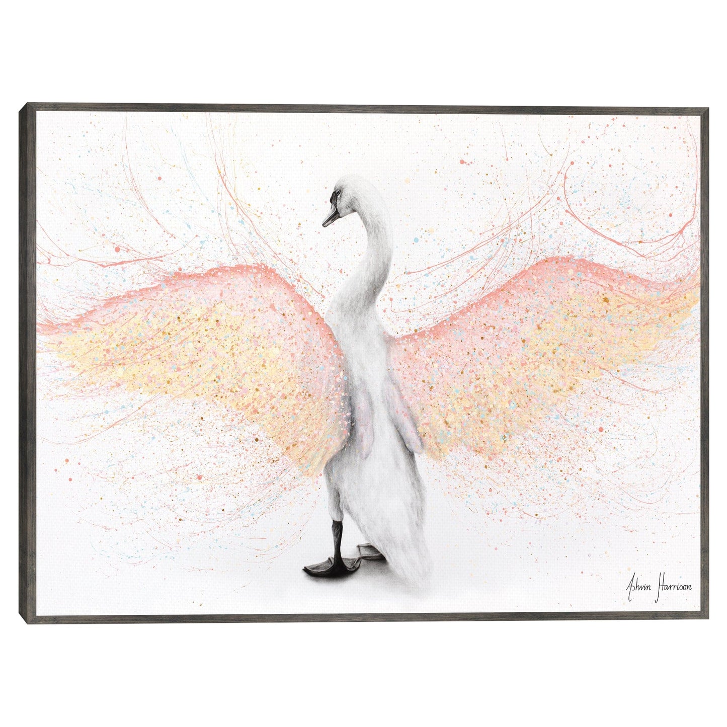 Cisne mudo - Ashvin Harrison