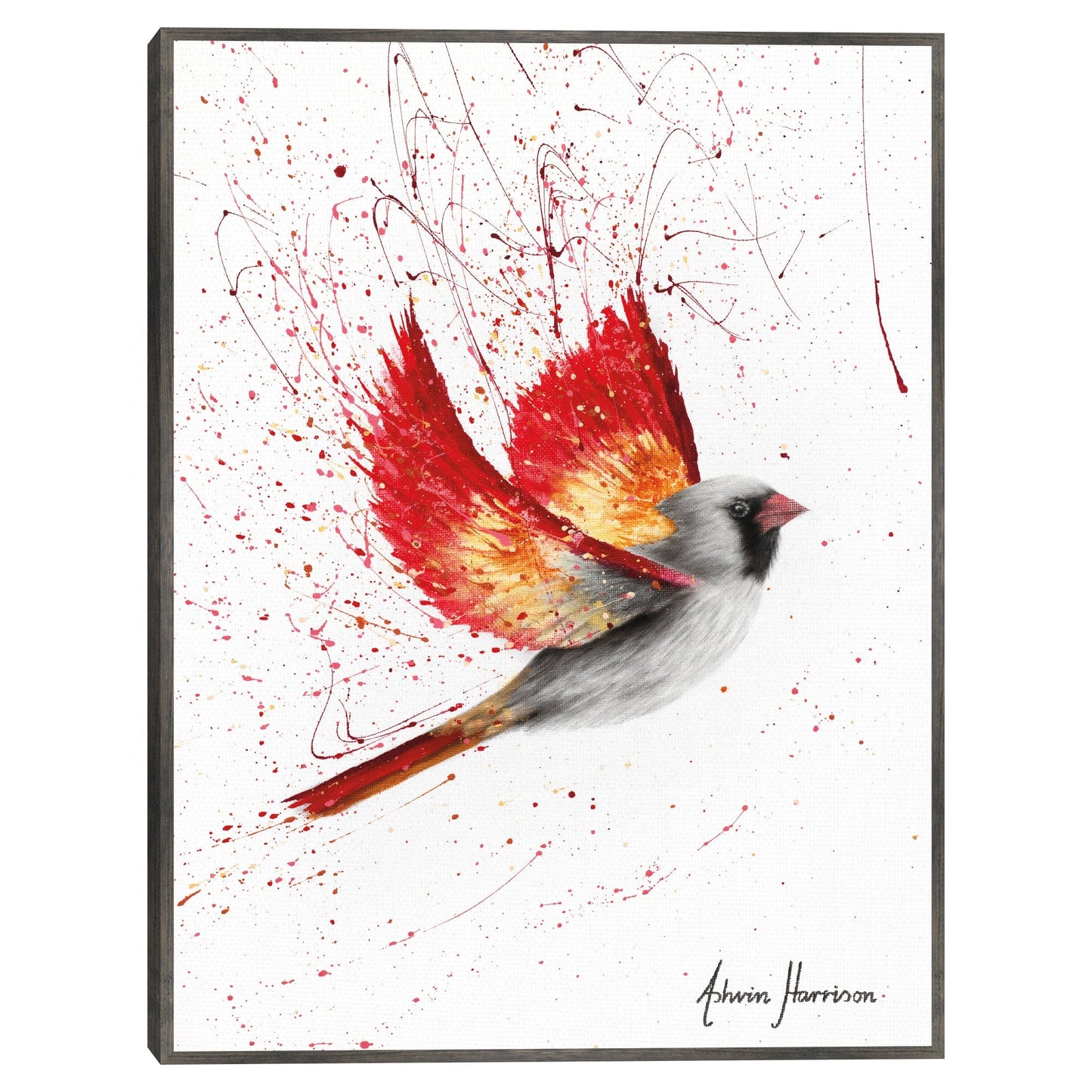 Cardenal cariñoso - Ashvin Harrison