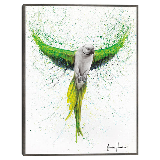 Fiel Volante - Ashvin Harrison