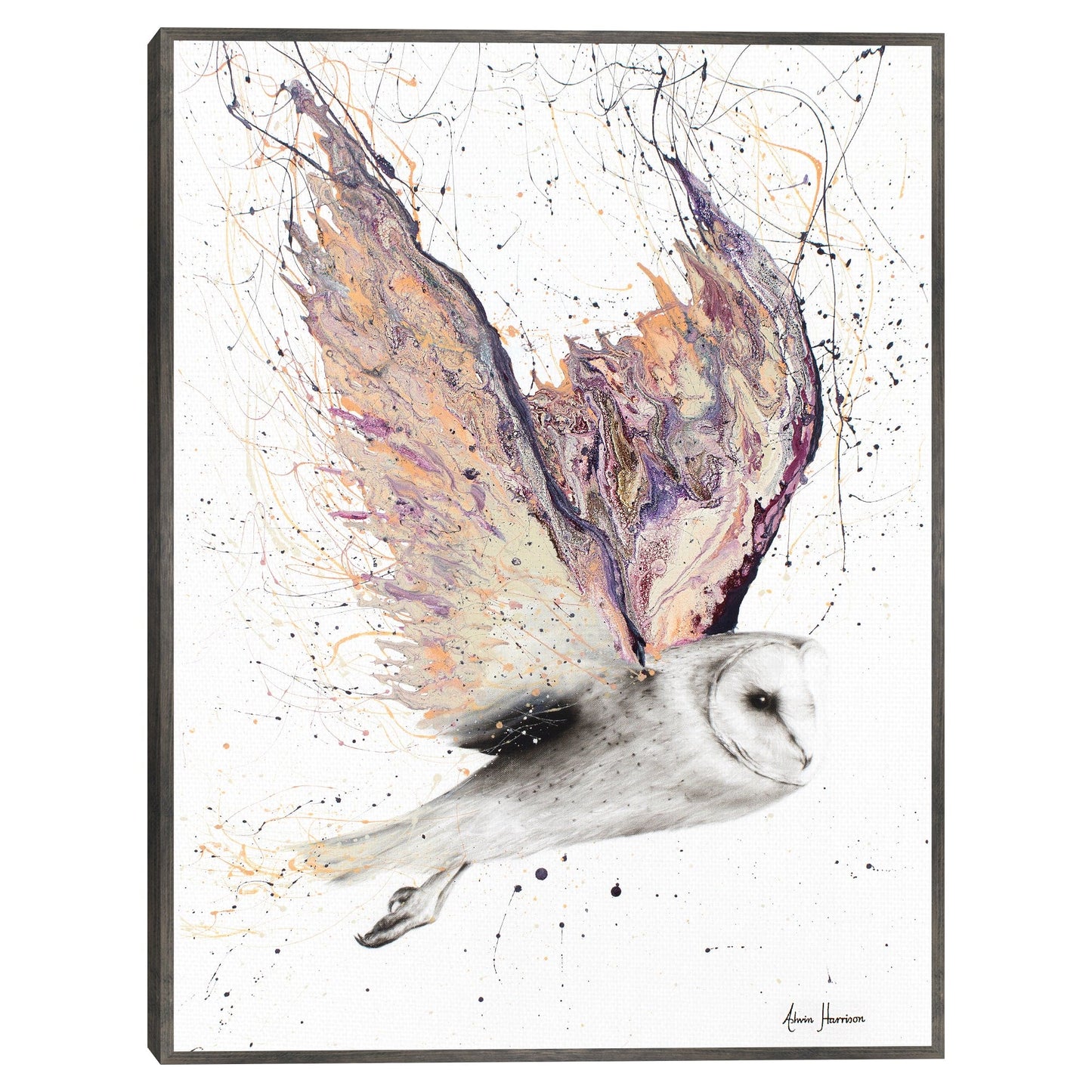 Buho alado de corazon - Ashvin Harrison
