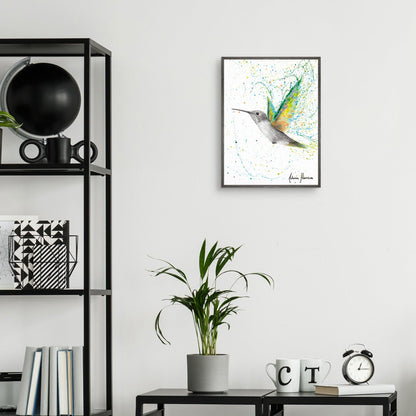 Colibri de verano melocoton - Ashvin Harrison