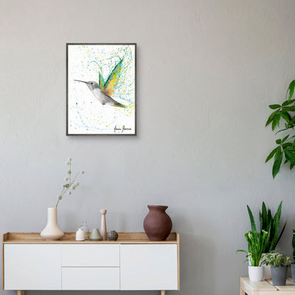 Colibri de verano melocoton - Ashvin Harrison
