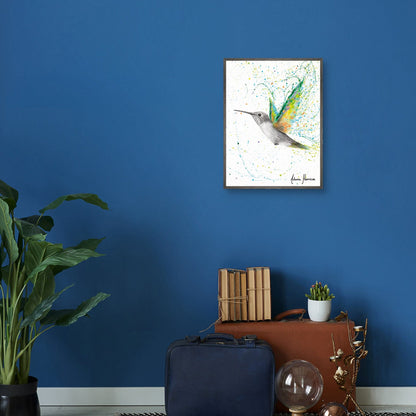 Colibri de verano melocoton - Ashvin Harrison
