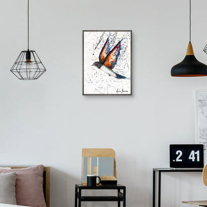 Pajaro de rango robusto - Ashvin Harrison