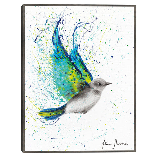 Pajaro de verano en solitario - Ashvin Harrison
