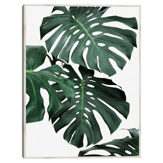 Monstera I - Sisi and Seb