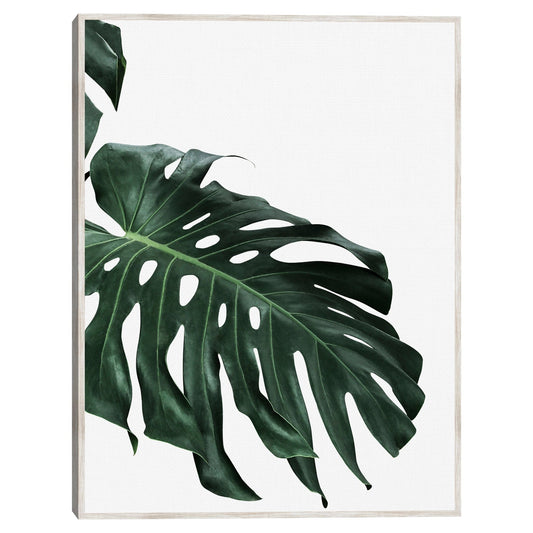Monstera II - Sisi and Seb