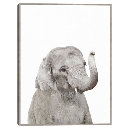 Bebe elefante - Sisi and Seb