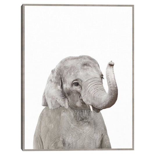 Bebe elefante - Sisi and Seb
